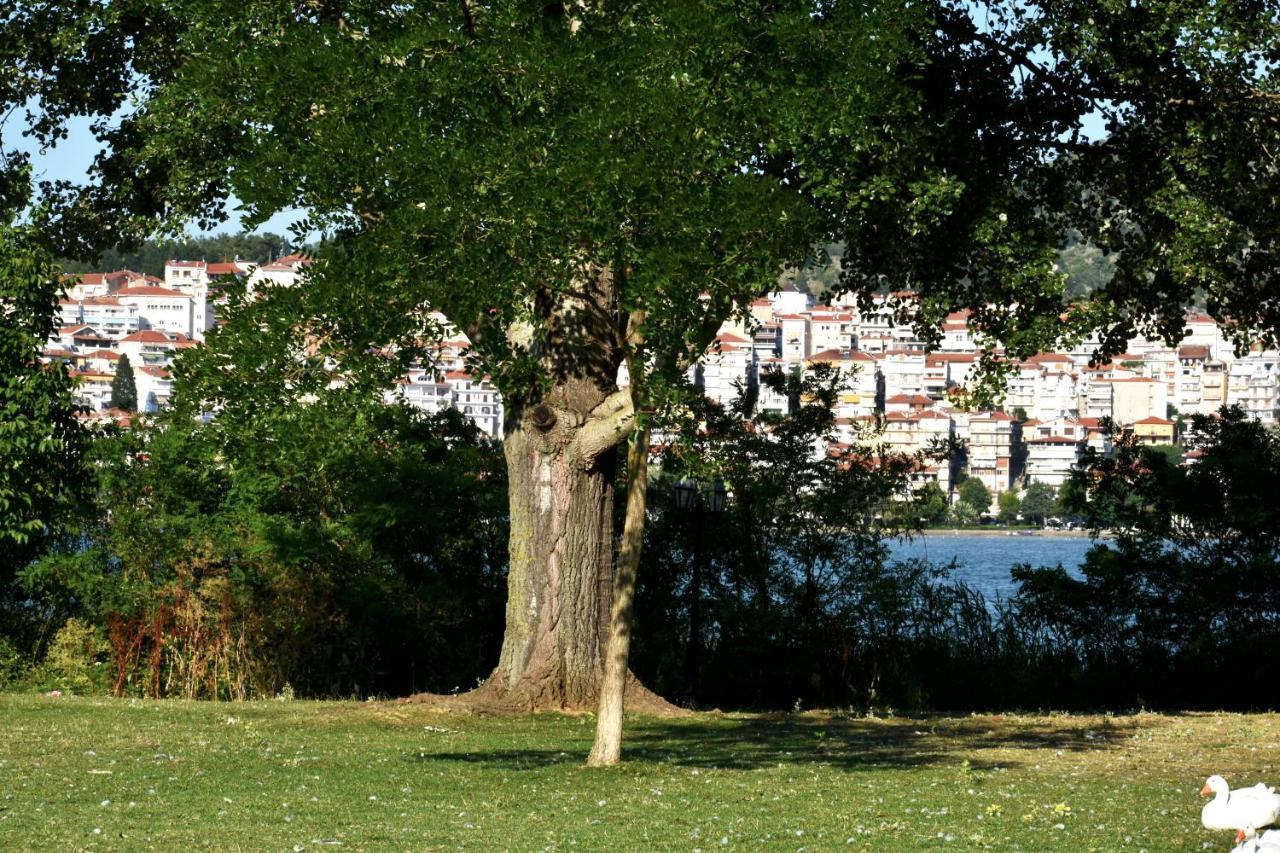 Κεντρικό Και Ευρύχωρο Οροφοδιαμέρισμα Kastoria Exterior foto