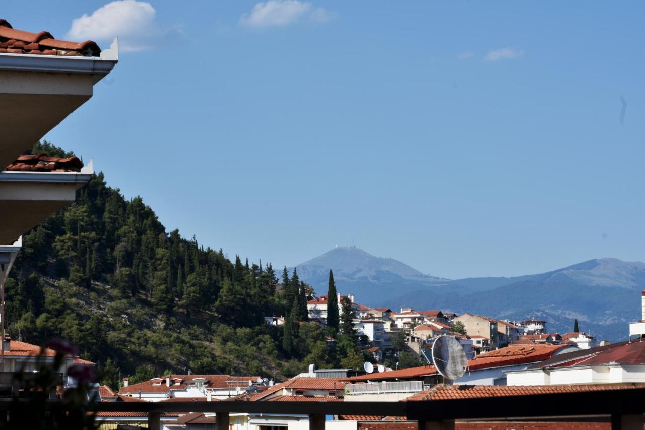 Κεντρικό Και Ευρύχωρο Οροφοδιαμέρισμα Kastoria Exterior foto